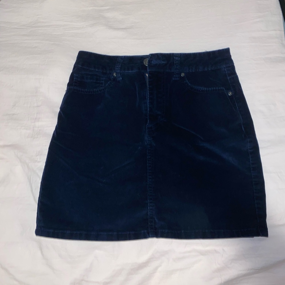 velvet skirt
